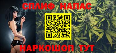 МДПВ Краснознаменск