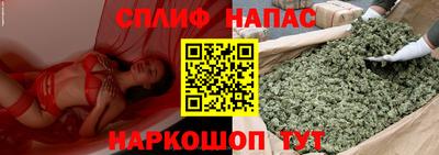 МДПВ Краснознаменск