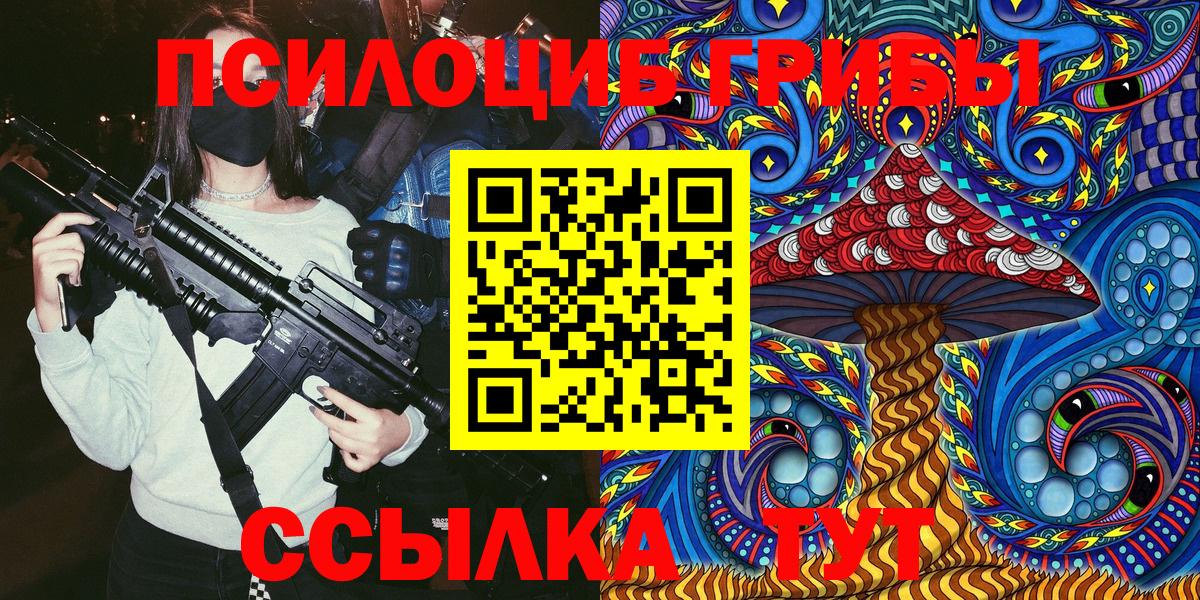 где найти наркотики  Вход с VPN  Электрогорск  Псилоцибиновые грибы GOLDEN TEACHER 